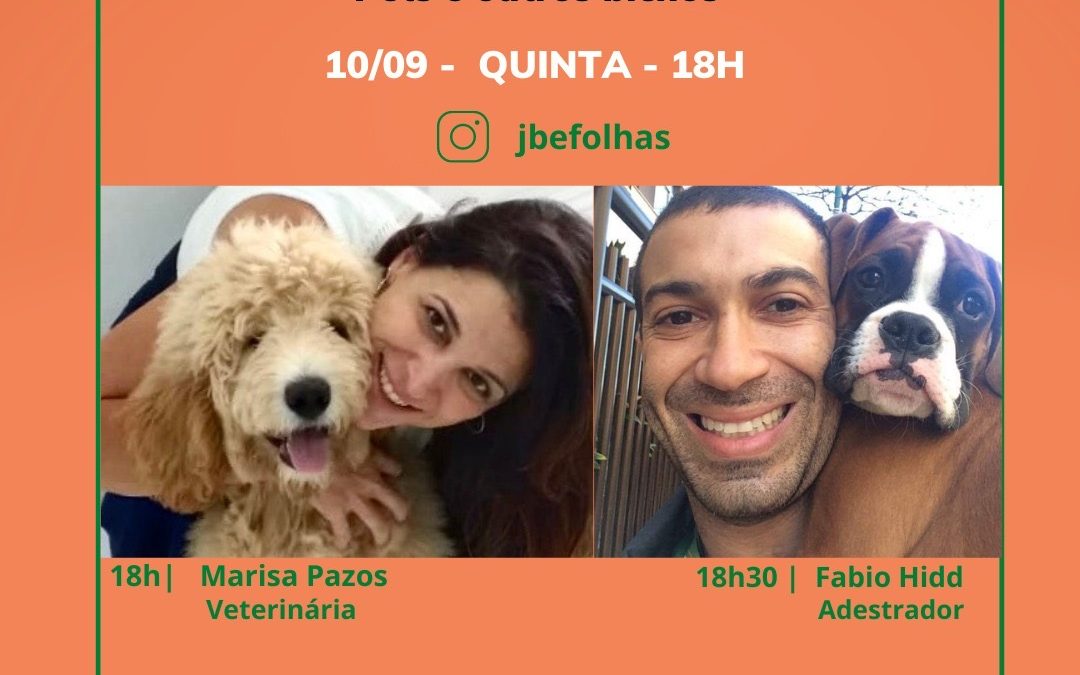 PETS E OUTROS BICHOS