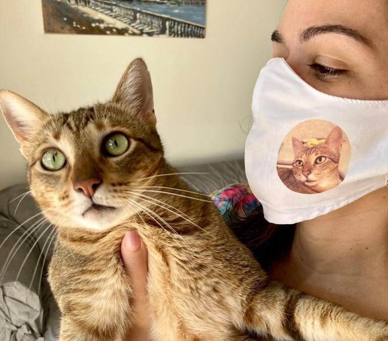 PETS NA QUARENTENA