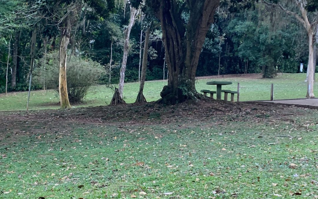 PARQUE DA CIDADE ESTÁ ENTRE OS MAIS BONITOS DO RIO