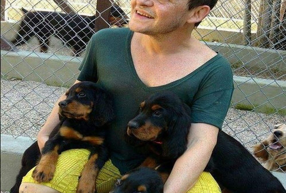 TODO O PODER DOS PETS