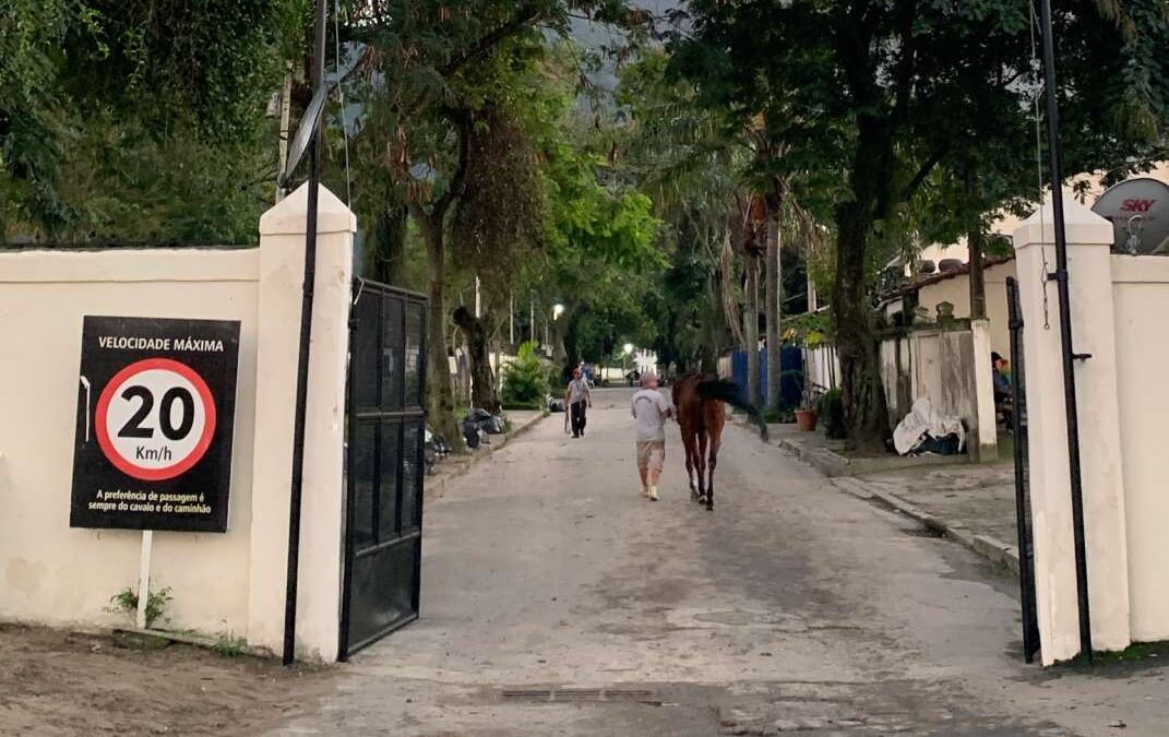 UM OUTRO OLHAR PARA O JOCKEY