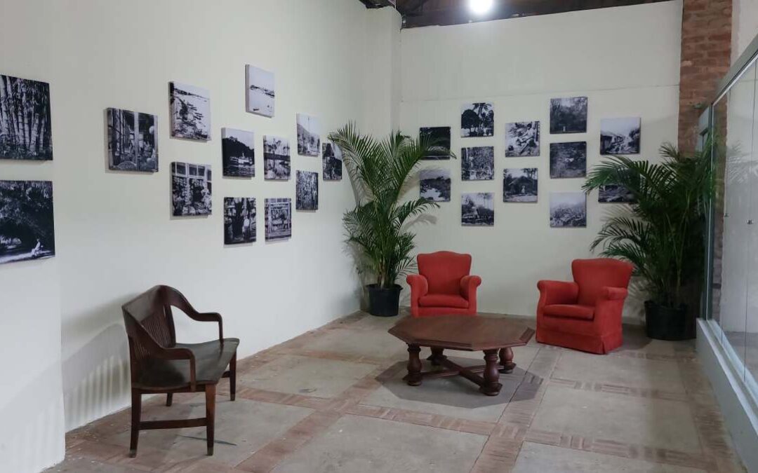 JARDIM BOTÂNICO E MEMÓRIA