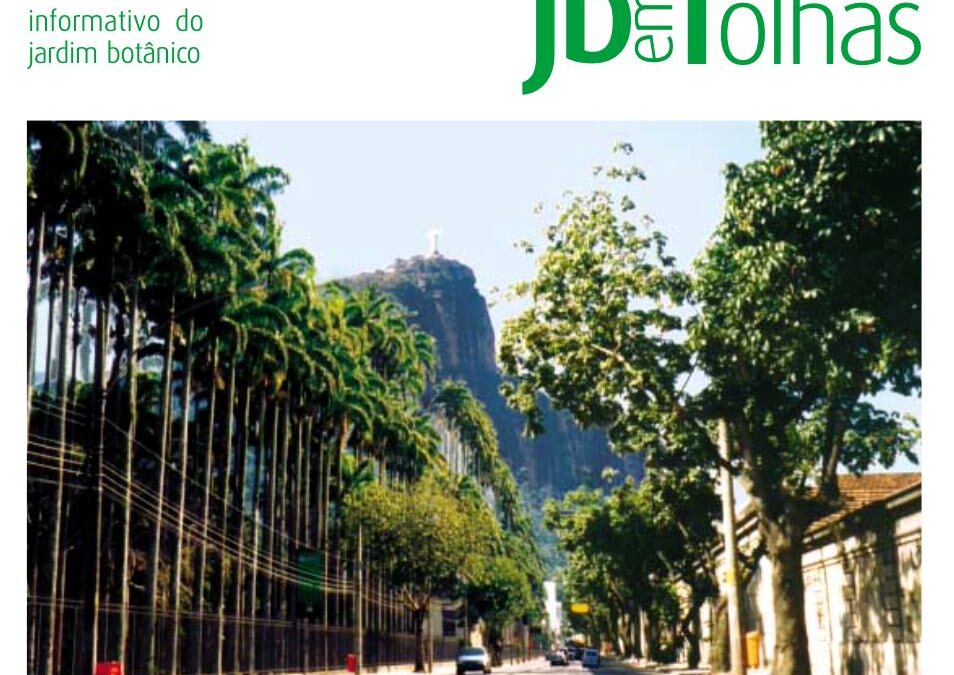 20 ANOS DE NOTÍCIAS, RESISTÊNCIA E PERSISTÊNCIA!