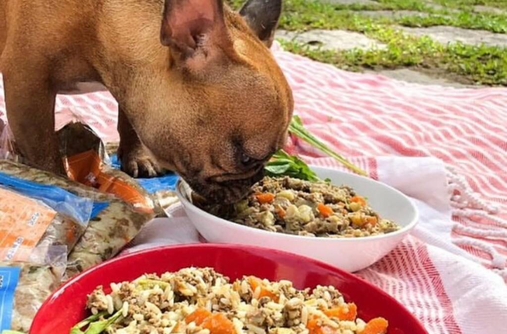 ALIMENTAÇÃO NATURAL AGORA NA RIOPET GÁVEA