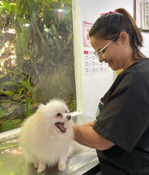 COM A MEDICAÇÃO EM DIA NO RIOPET GÁVEA