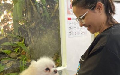 COM A MEDICAÇÃO EM DIA NO RIOPET GÁVEA