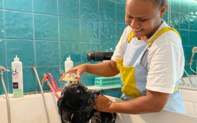 ME WASH, UM SALÃO DE BELEZA PARA CÃES 