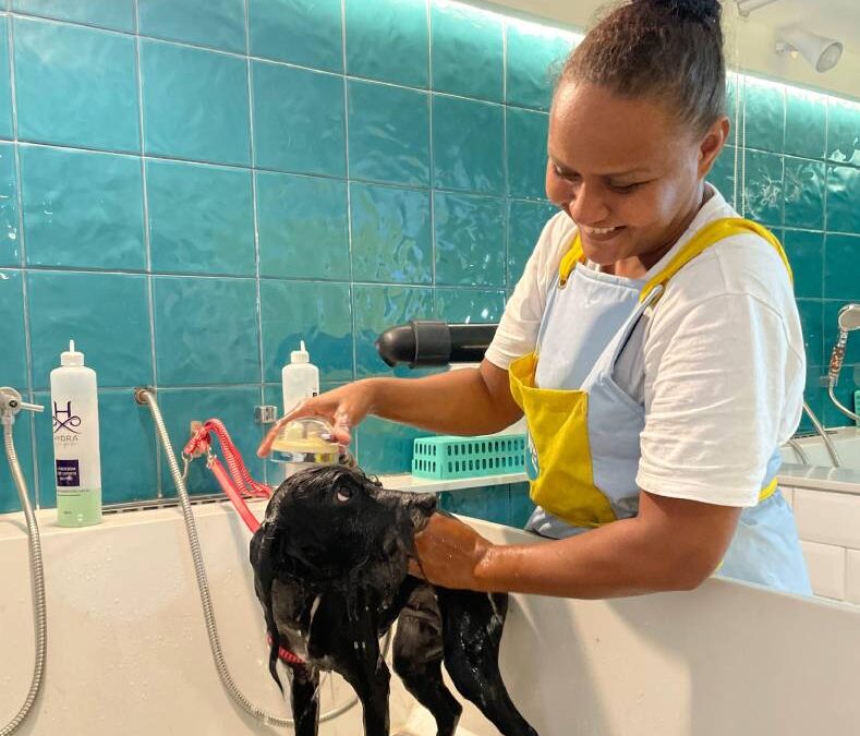 ME WASH, UM SALÃO DE BELEZA PARA CÃES 