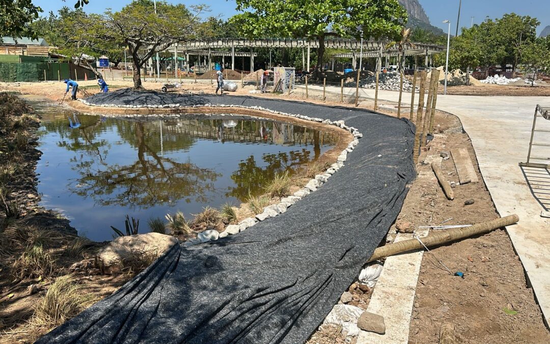 NATURALIZAÇÃO DA LAGOA NA RETA FINAL