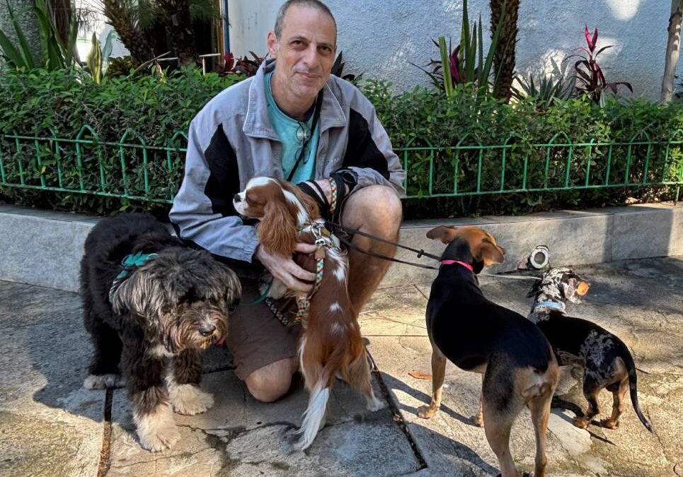 UM OLHO NO CÃO E OUTRO NAS PLANTAS 