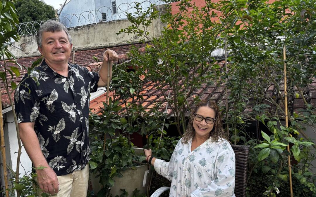PROJETO HORTA URBANA É NOVIDADE NA REGIÃO
