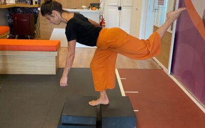 DE OLHO NO (BOM) CONDICIONAMENTO DE BAILARINOS