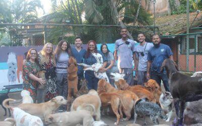 PLANEJANDO AS FÉRIAS DO PET