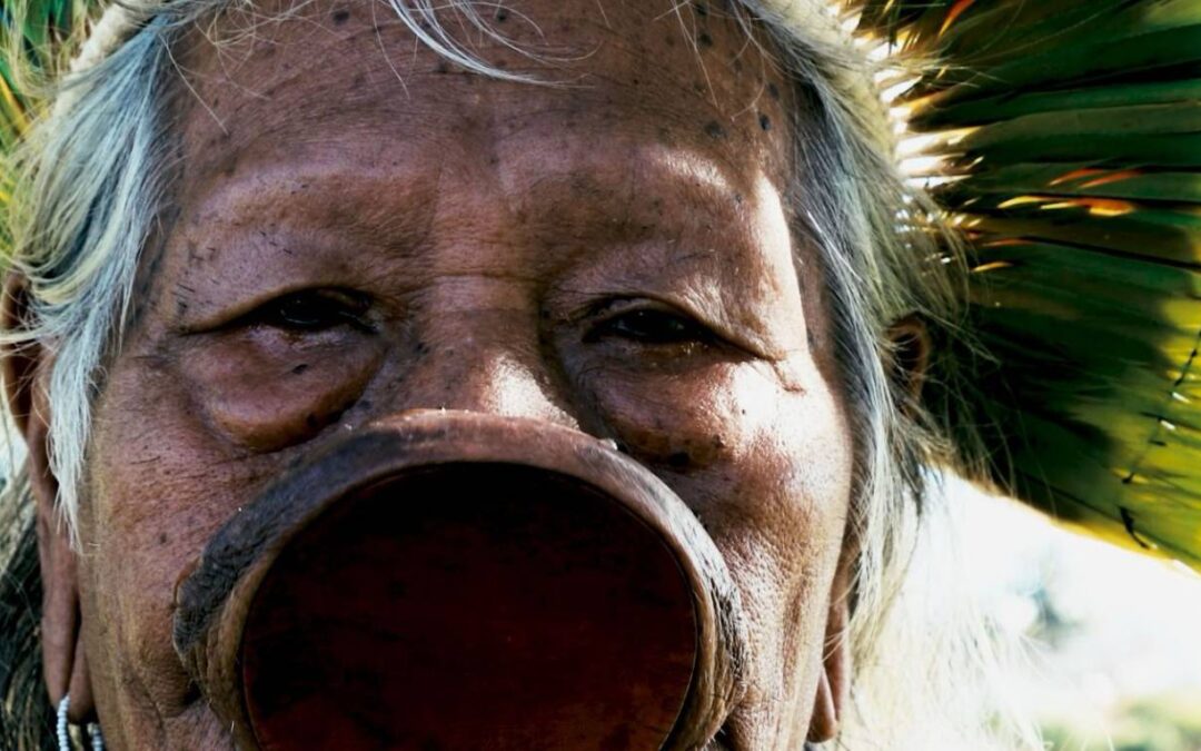 POR DENTRO DA CULTURA DA AMAZÔNIA 