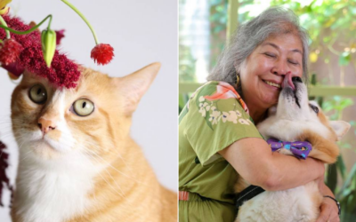COMPARTILHANDO A VIDA COM PETS