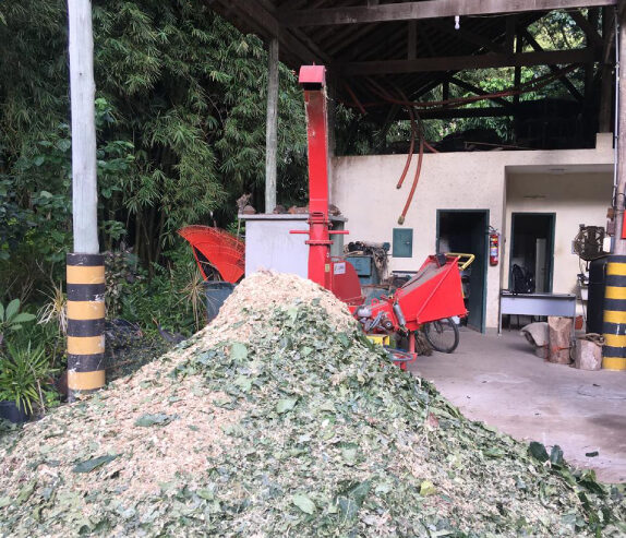 O sistema de compostagem do JBRJ  é responsável por reciclar cerca de 60% desse material. 