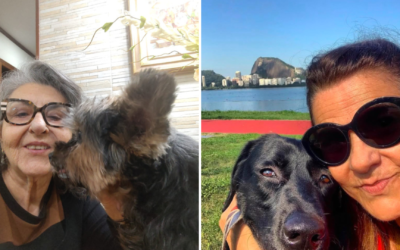 PETS ASSEGURADOS