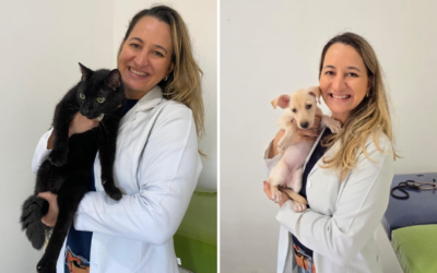 PAIXÃO POR PET